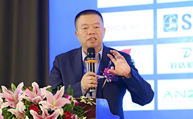 李祖芹-广州迪森热能技术股份有限公司董事长介绍