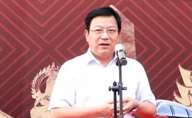 陈兴林-东风汽车有限公司副总裁介绍
