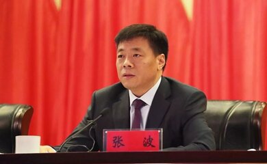 张波-中国宏桥集团有限公司董事会主席介绍