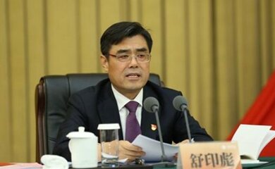 舒印彪-中国华能集团有限公司董事长介绍