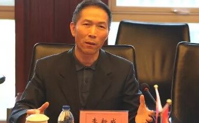 李新威-深圳南山热电股份有限公司董事长介绍