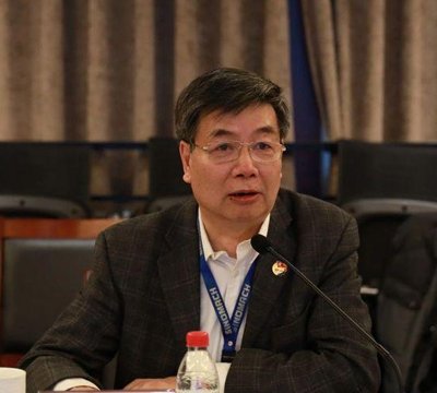 王伟炎-中国机械工业集团有限公司副总经理介绍