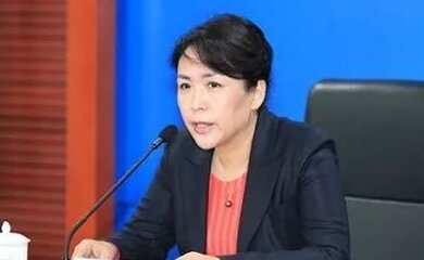 邹宏英-中国冶金科工集团有限公司副总裁介绍