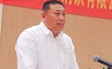 王文涛-华盛江泉集团有限公司董事长介绍