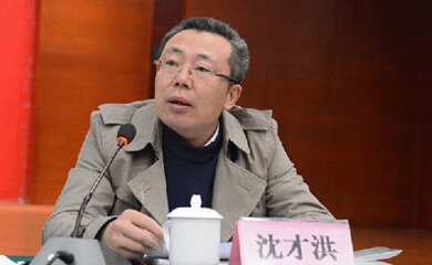 沈才洪-泸州老窖股份有限公司副总经理介绍