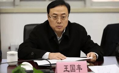 王国丰-北京粮食集团有限责任公司董事长介绍