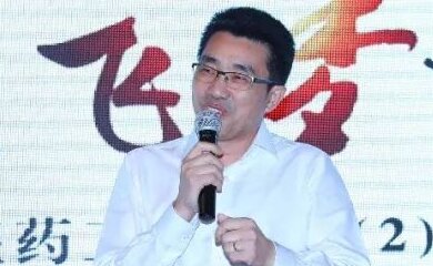 邱华伟-华润三九医药股份有限公司董事兼总裁介绍
