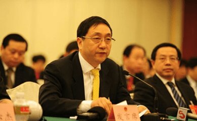 凌沛学-鲁商集团首席科学家介绍